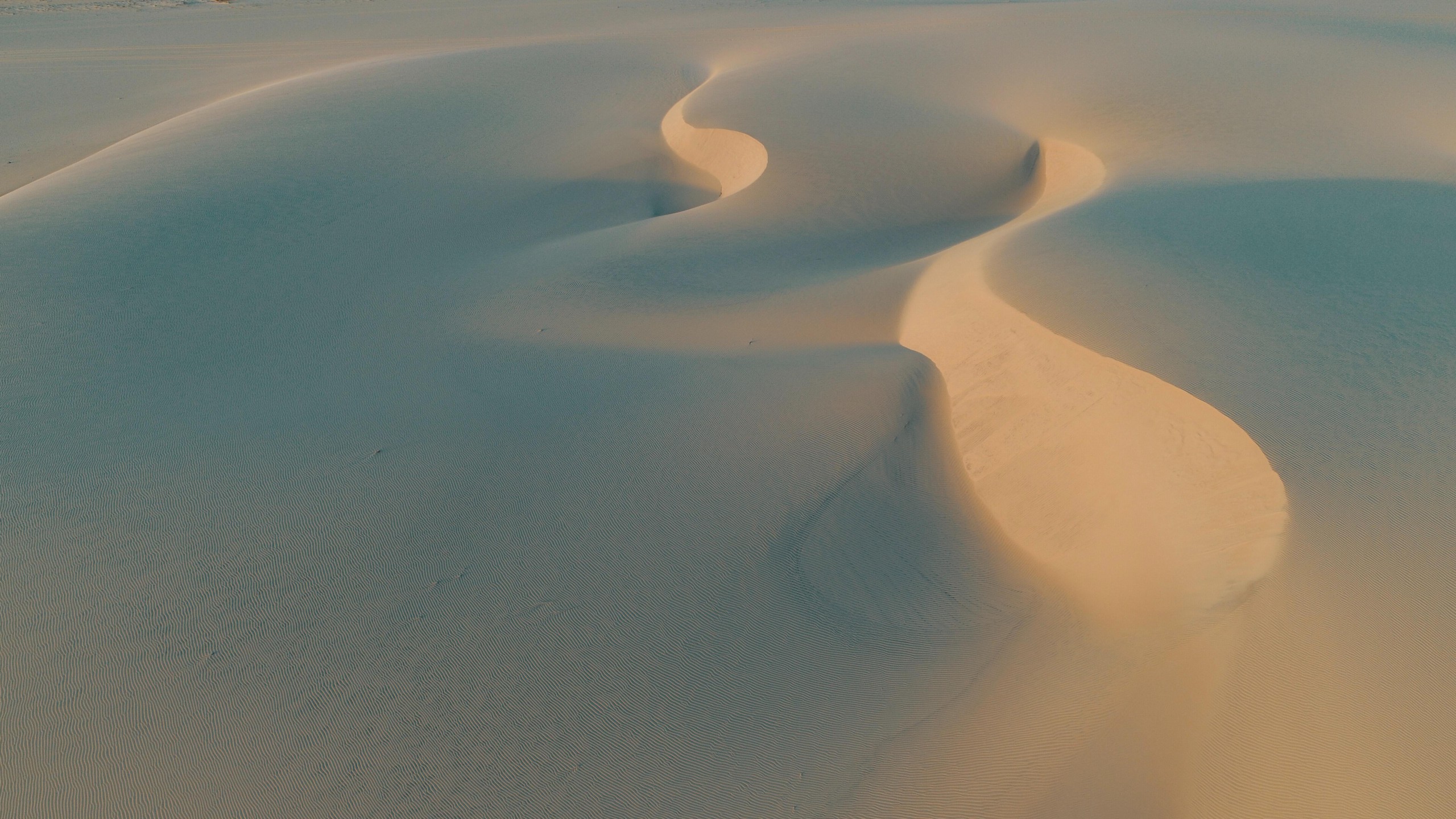 カーボン　プライシング　デメリット